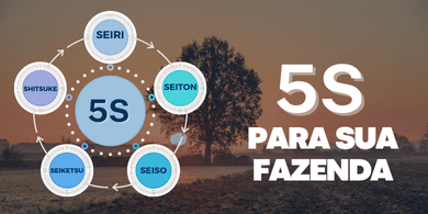 5S na gestão pecuaria fazenda