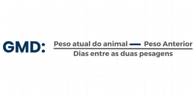 CALCULO GMD - GANHO MEDIO DIARIO