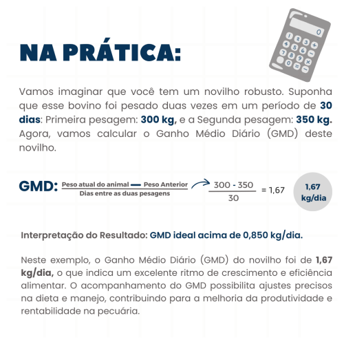 Calculando GMD na prática