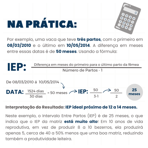 Calculando IEP na pratica (1)