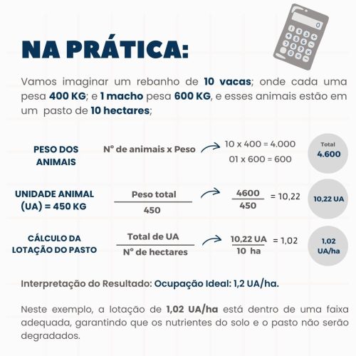 Calculo de Unidade animal