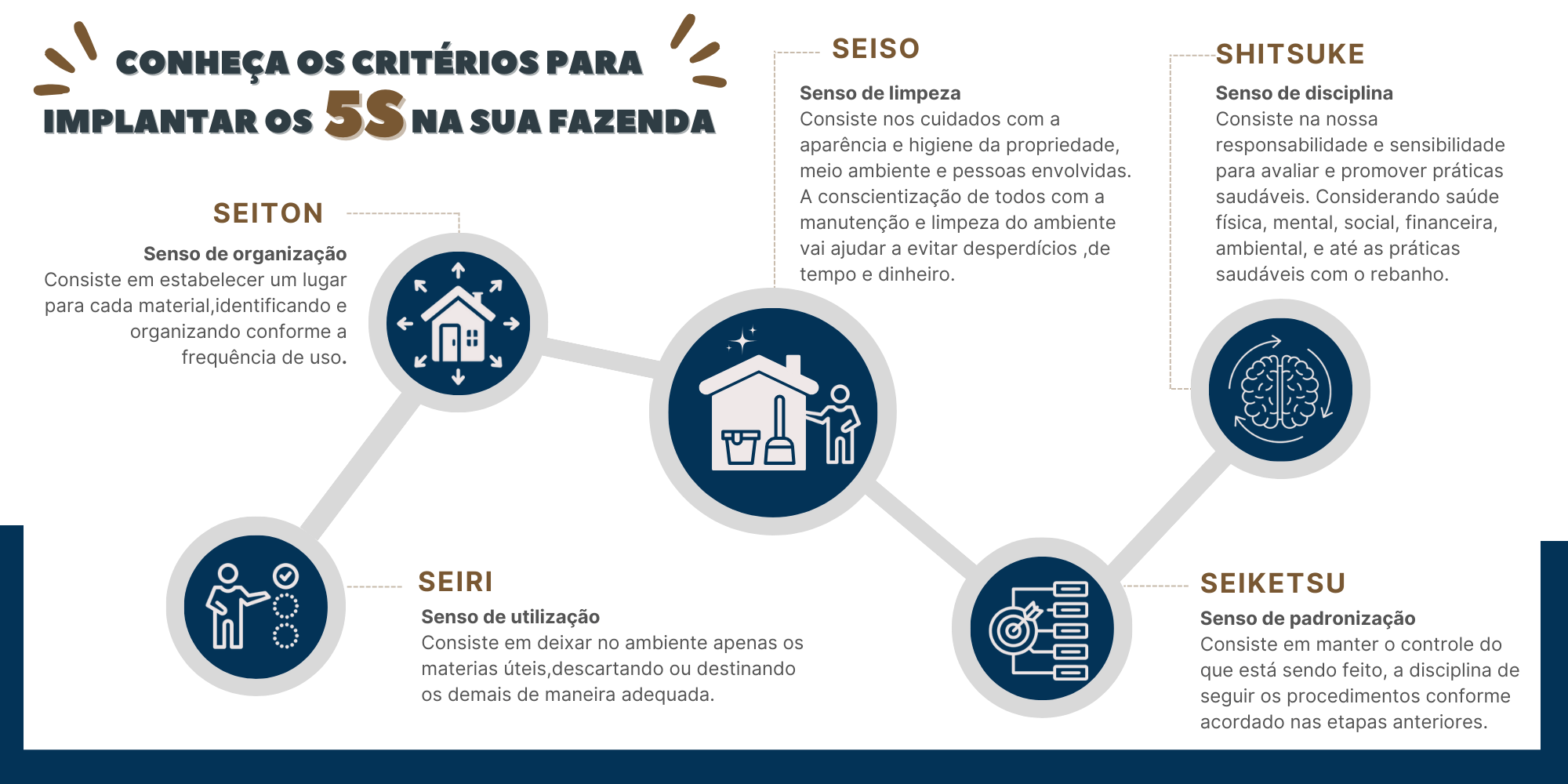 Impantando os 5S NA SUA FAZENDA