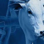 INTERVALO ENTRE PARTOS – IEP