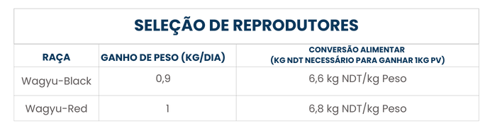Reprodutores - WAGYU