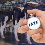 iatf - inseminação artificial em tempo fixo