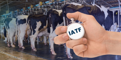 iatf - inseminação artificial em tempo fixo