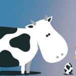 A VACA QUE BOTOU UM OVO