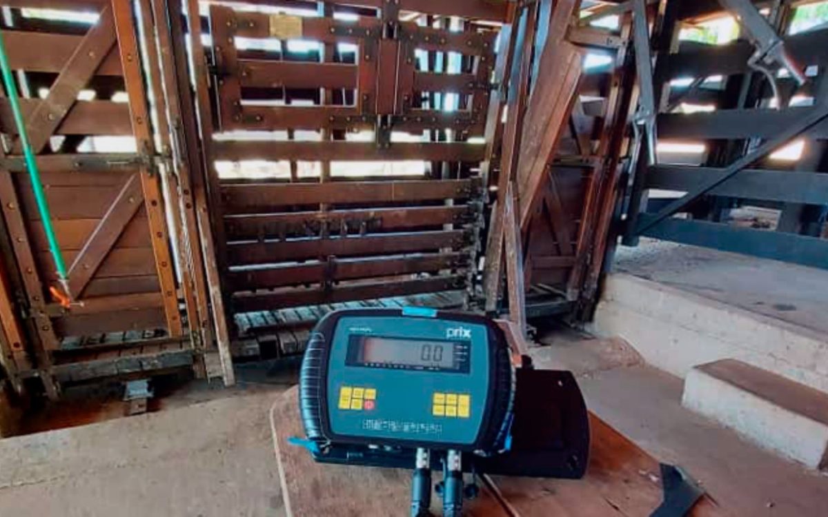 Balanças Eletrônicas para Pesar o Rebanho