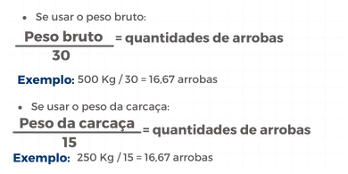 Calculo de rendimento da carcaça