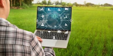 Como Gerenciar uma Fazenda