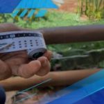 Como pesar o gado sem balança