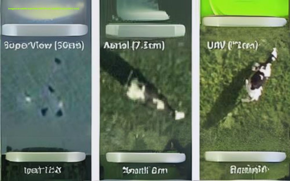 Controle Pecuário via Satélites