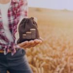 Dicas para Gestão da Fazenda