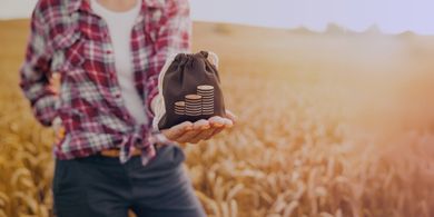 Dicas para Gestão da Fazenda