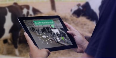 Evolução da Pecuária nos Últimos Anos