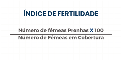 Índice de Fertilidade