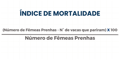 Índice de Mortalidade