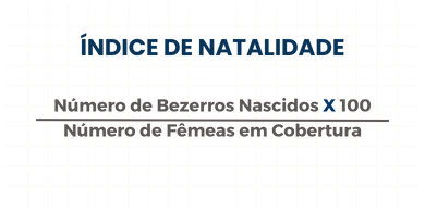 Índice de Natalidade