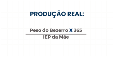 Produção Real (kg)