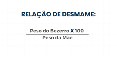 Relação de Desmame