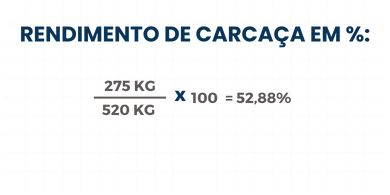 Rendimento de Carcaça em %