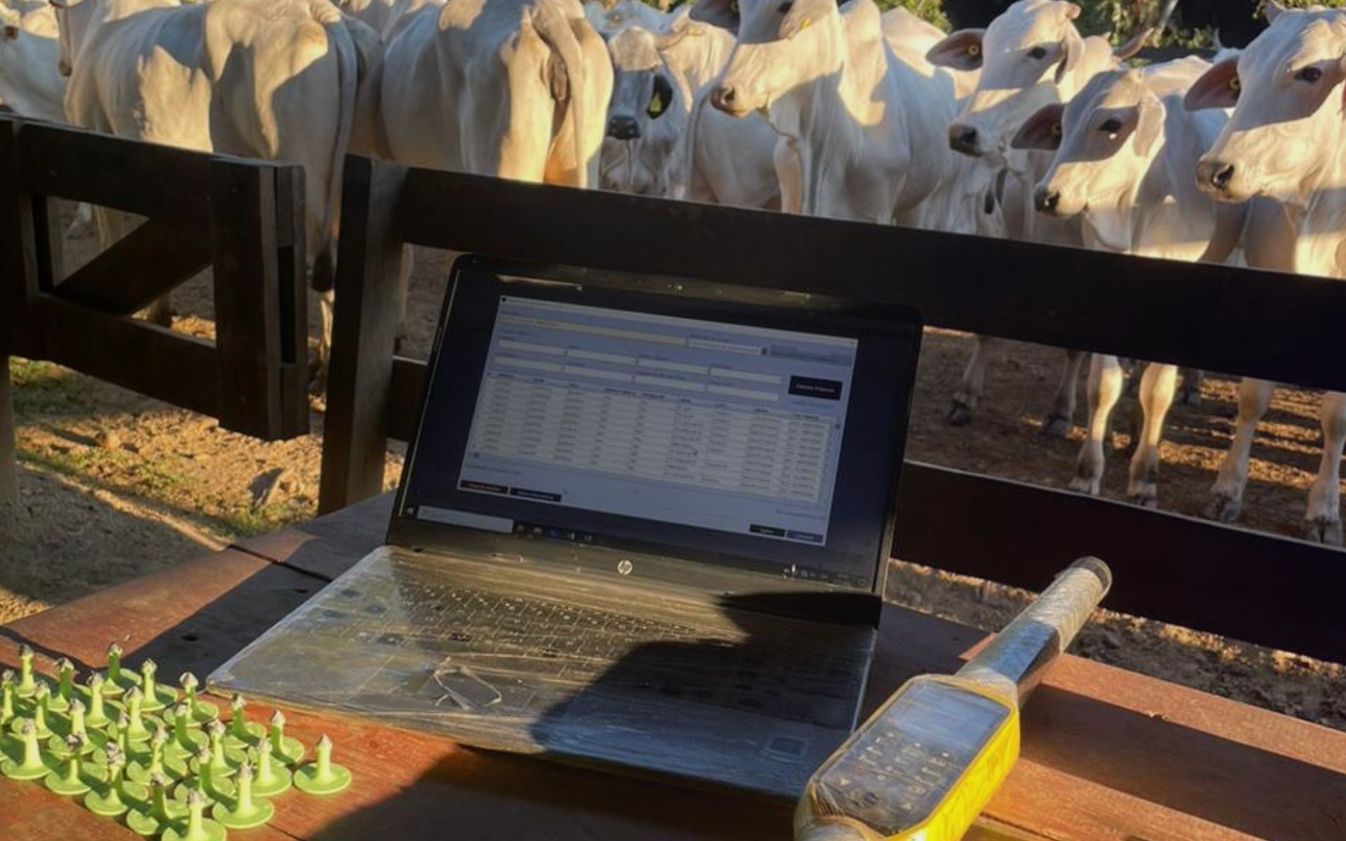 Software de Gestão de Fazendas - Procreare