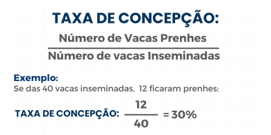 Taxa de Concepção (TC)