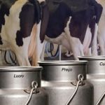 Como controlar o custo da Produção leiteira.