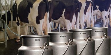 Como controlar o custo da Produção leiteira.