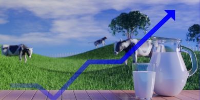 Curva de Lactação e Persistência da Lactação