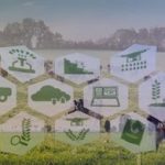 PECUÁRIA 4.0 Inovações Tecnológicas na Produção Pecuária (1)