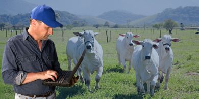 Preciso mesmo de um software para Gestão de Fazendas